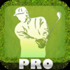 Golf Swing Birdie Coach - Golfing Green, Clubs & Balls PRO