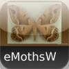 Moths of the World - eMothsW