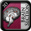 Brain Disection 3D