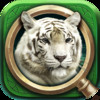 Hidden Objects: Into the Animal Kingdom