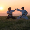 Karate Shotokai