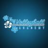 NW Volleyball Academy