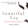 Beautiful Boy (by David Sheff)