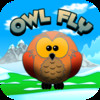 Owl Fly 2014
