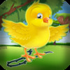 Bird Egg Drop Dash Puzzle - Line Bouncing Birdie Rush Crash Quest Pro