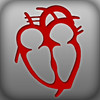 Cardiovascular System Education