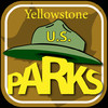 Yellowstone Tracks, Trees and Wildflowers