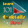 Learn 101 Cocktails Now!