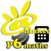 Thinkee Math P6