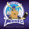 Metro Moose Hockey