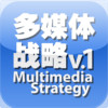 Multimedia Strategy vol.1