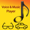Voice, Gesture, In-Car Music Player - with song title and artist name voice announcements in 36 languages.