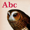 Vintage Animal ABC Flashcards