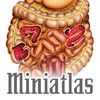 Miniatlas Gastroenterology