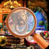 Hidden Objects In The Mystery  Room