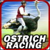 Ostrich Racing