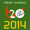 Cricket Schedule for T20