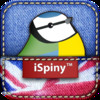 Birds of Britain: A Pocket Guide from iSpiny