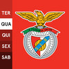 SL Benfica Fancal