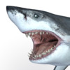 Talking Great White HD - for iPad