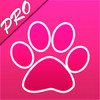 Pink Wallpapers  Pro
