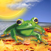 WeatherFrog - Accurate World Weather Forecast