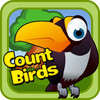 Count Birds - Game for Kids and Family(HD)