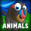 Baby's First App Animal Edition