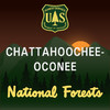 Chattahoochee-Oconee National Forests