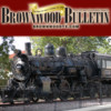 Brownwood Bulletin Newsroom for iPhone