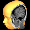 Brain Tutor 3D