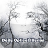 Daily Optical Illusion