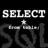 Select SQLite Queries for iPad