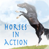 Horses in Action