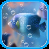 Crazy Fish Picture Free