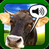 Sound Game Farm Animals Photo