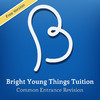 Bright Young Things Revision App - Free Version