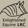 Equine Laminitis Risk Calculator