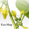 Eco:Map