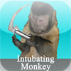 Intubating Monkey
