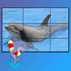 dolphins puzzle for kids