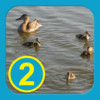 At The Pond - Level 2(B) - Learn To Read Books