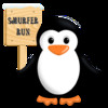 Smurfs Run - Run Smurfer