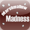 Marshmallow Madness - Christian Teaching Illustrations