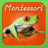 Montessori Approach to Zoology - The Animal Kingdom (Vertebrates)