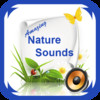 AMAZING Nature Sounds