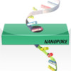 RNA: Protein Biosynthesis