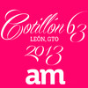 Cotillon 2013