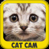 Cat Cam - Draw/Paint Cats onto Photos + Photo Booth & Editor - Stamp Animal Effects w/Captions for a Meme!