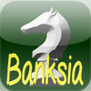 Banksia - Big Chess database